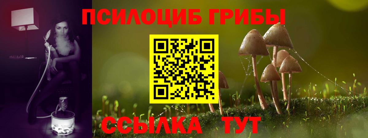 Ефремов  Галлюциногенные грибы мухоморы  Вход с VPN 